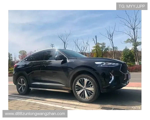 尊龙z6在线最新版本全面上线，畅享极致驾驶体验