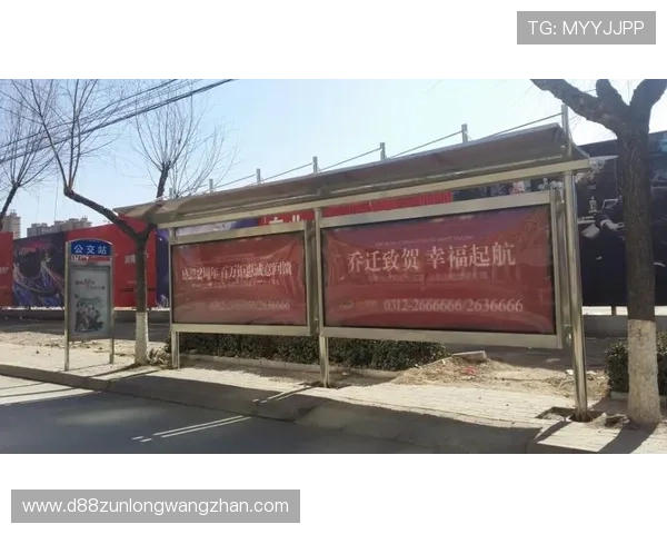 探索d88尊龙会员注册后可以享受的独特权益与福利