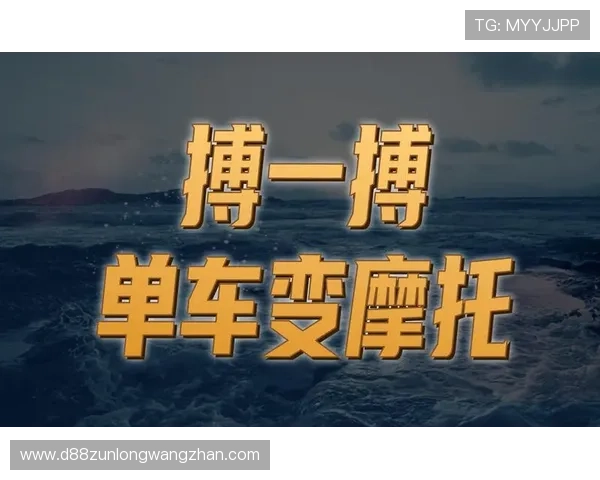 探索尊龙app官网下载的各种功能与特色，用户体验评测详尽分析