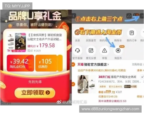 尊龙d88线上平台最新优惠活动全面解析助你轻松赢取丰厚奖励