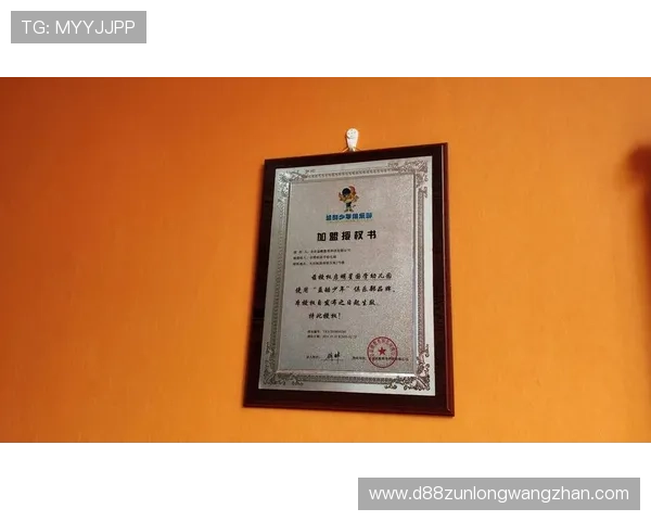 尊龙集团登录入口网站常见问题及解决方案全面解析 尊龙集团登录入口网站常见问题及解决方案全面解析